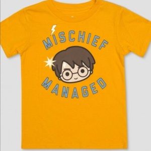 Harry Potter T-shirt
